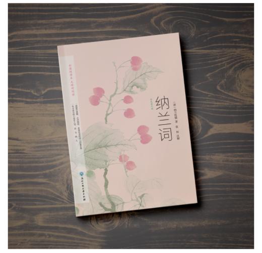 纳兰词 商品图3