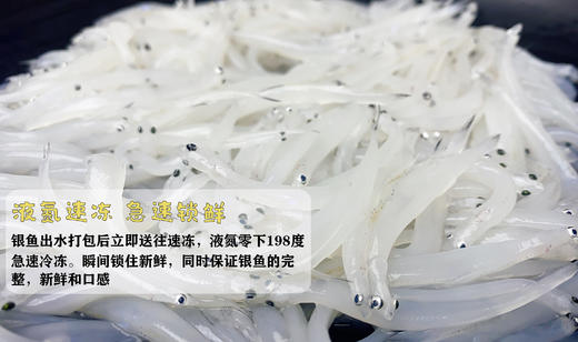 南都湖 有机银鱼 商品图3