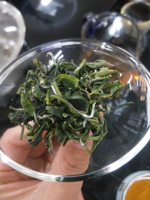 【茶馆茶叶】小众茶第46期丨【北方佳人】寒露白毫青茶 商品图1