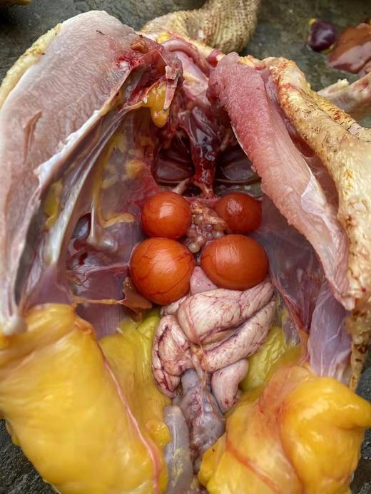 【寻味武隆】武隆深山老土鸡，飞入寻常百姓家，三年下蛋老母鸡 商品图6