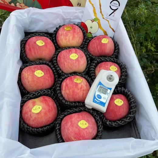 九霄云脆苹果| 水果 商品图0