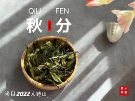 2022秋分茶有花香清甜，有竹香清嘉，又清郁，又鲜甜