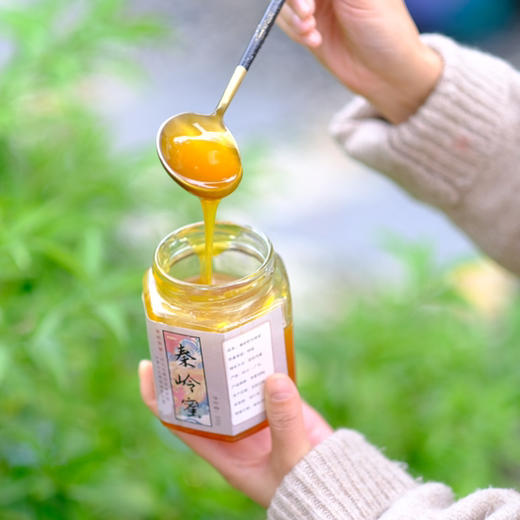 【秦岭野生蜂蜜500g/瓶】秦岭大巴山深处的野生百花药蜜 每年只收割一次 每一滴蜜都来之不易 商品图1