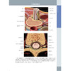 脊柱外科影像学 商品缩略图6