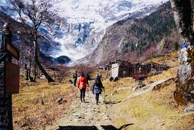 雨崩客照丨雪山日出，好看的人，迷雾中的小森林