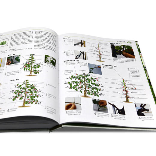 英国皇家园艺学会园艺修剪手册 商品图3