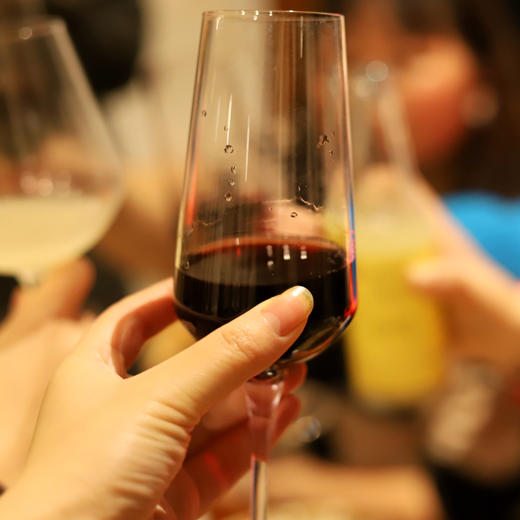 生态蓝莓酒 | 发酵型干红，生态蓝莓酿酒，花青素丰富，消除自由基，3年酒，果香馥郁，聚餐必备好酒 商品图0