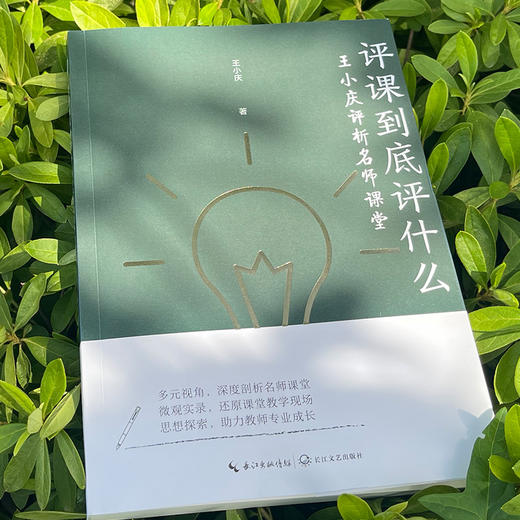 《评课到底评什么：王小庆评析名师课堂》（大教育书系） 商品图4