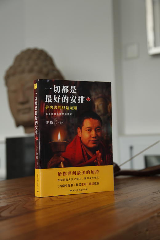 把生命的无常变成奇迹：一切都是最好的安排2 商品图5