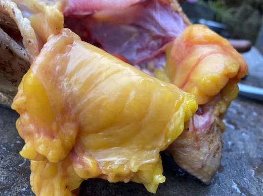 【寻味武隆】武隆深山老土鸡，飞入寻常百姓家，三年下蛋老母鸡 商品图5