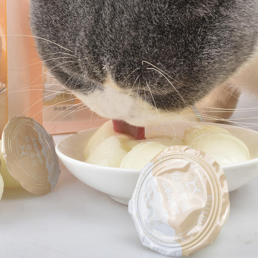 Both猫咪山羊奶布丁15粒/袋装 调理肠胃 猫零食批发 商品图1