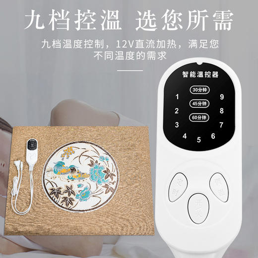 [清货]电加热艾灸毯    长1米4，宽60 商品图1