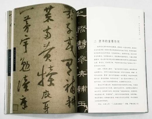 潘伯鹰《中国书法简论》（插图本），16开平装，上海辞书出版社出版，定价98，售价45元。 商品图10