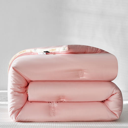 自然醒小香风烫钻绣花立体冬被 保暖亲肤秋冬被芯双人加厚冬季被子LFS 商品图6
