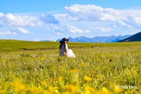 甘南客照丨 “去不了新疆，就去甘南，超冷门小众旅行地”