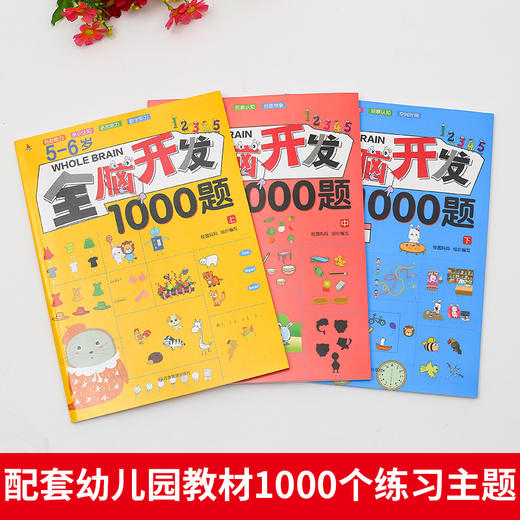5-6岁全脑开发1000题 （全3册） 商品图1