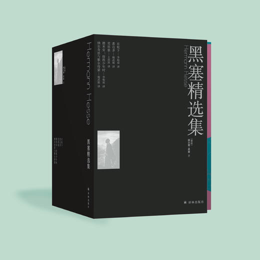 "黑塞精选集"（全5册）：《悉达多》《德米安》《在轮下》《荒原狼》《纳尔奇思与歌尔得蒙》 商品图1