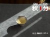 2022秋分茶有花香清甜，有竹香清嘉，又清郁，又鲜甜 商品缩略图14