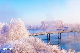 吉林客照丨 “本南方人终于跟着行影遇见了人生的第一场雪” 