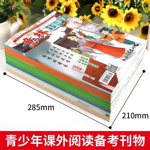 直降30！【6-12岁】《意林-小国学》2022年所有过刊全14册（含创刊号）+2023年所有过刊全12册  中小学传统文化养成读本   青少年课外阅读备考刊物 商品图3