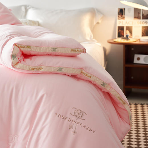 自然醒小香风烫钻绣花立体冬被 保暖亲肤秋冬被芯双人加厚冬季被子LFS 商品图2