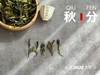 2022秋分茶有花香清甜，有竹香清嘉，又清郁，又鲜甜 商品缩略图1