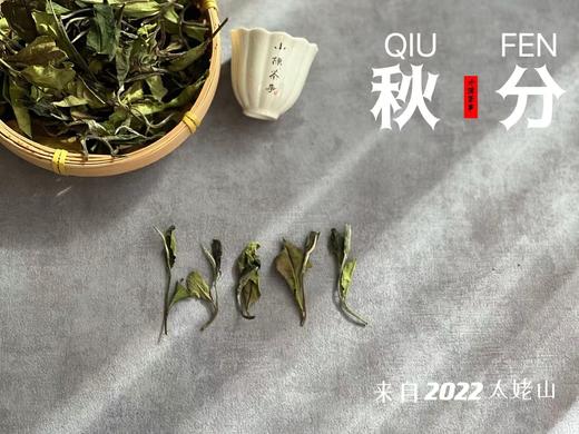 2022秋分茶有花香清甜，有竹香清嘉，又清郁，又鲜甜 商品图1