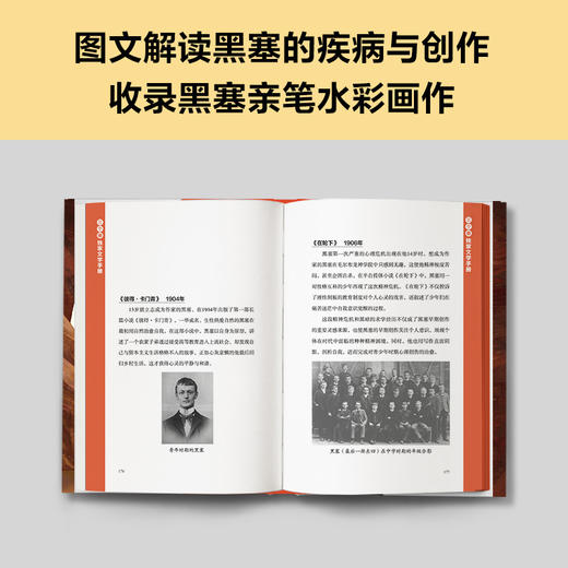 悉达多 商品图4