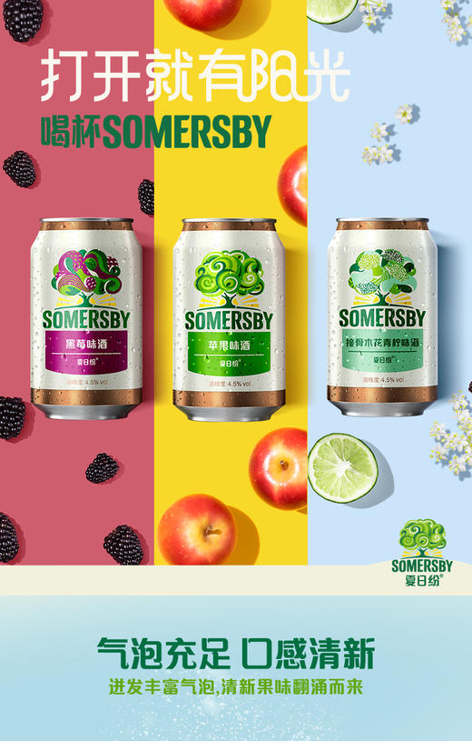 【专享】Somersby夏日纷混合口味酒330*12罐整箱（口味可选择） 商品图8