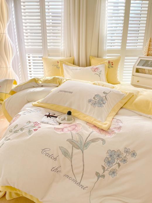 南通家居床上四件套秋冬新品高克重 230g全消光牛奶绒 商品图2