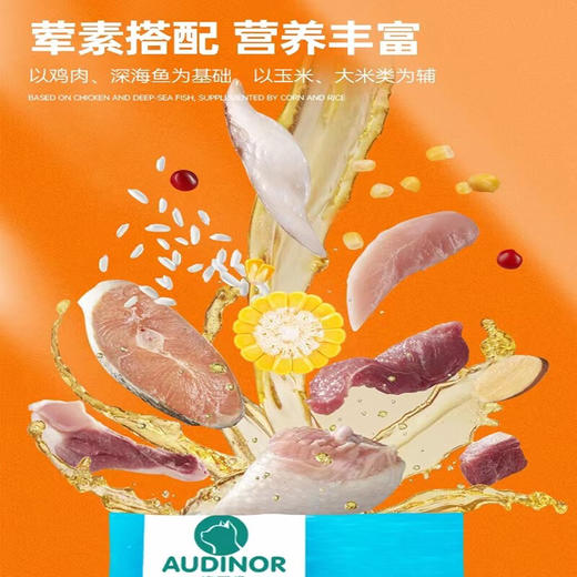 雷米高澳丽得海洋鱼味成幼猫粮猫增肥发腮通用主粮500g 商品图1