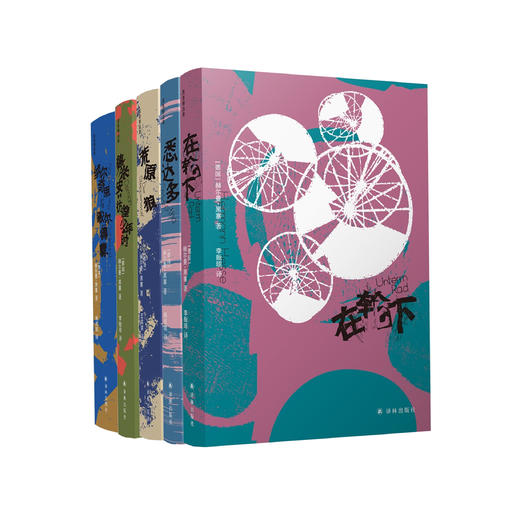 "黑塞精选集"（全5册）：《悉达多》《德米安》《在轮下》《荒原狼》《纳尔奇思与歌尔得蒙》 商品图0