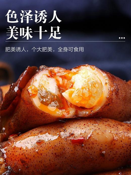 全母满籽籽乌 笔管鱿鱼 商品图3