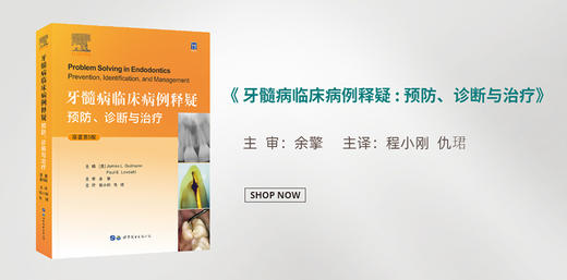 牙髓病临床病例释疑 预防诊断与治疗 译 程小刚 仇珺T牙体牙髓病可能碰到的各种疑难问题和解决之道 世界图书西安 9787519291013 商品图3