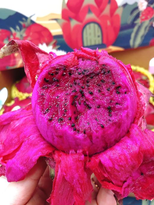 红心火龙果一箱（拼团） 商品图4