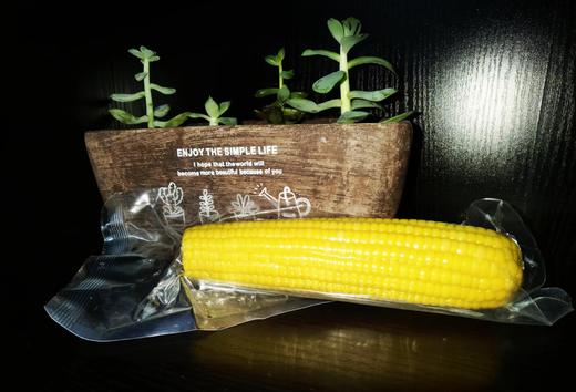 【臻选推荐】马老面鲜食玉米  9支装/箱    黄糯玉米 / 黑糯玉米 商品图7