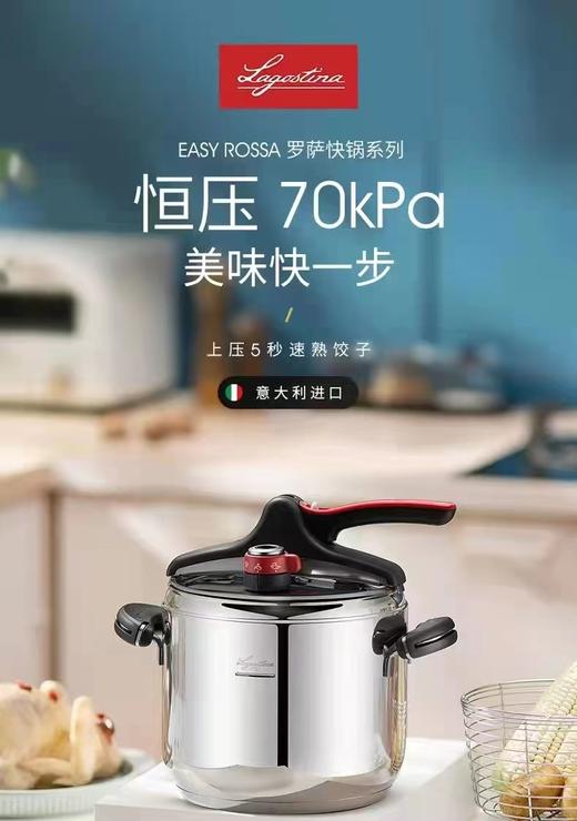 7F  lagostina拉歌蒂尼  罗萨7L营养快锅 商品图0