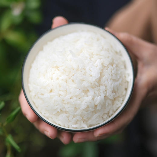 【农家自种五常大米】5KG纯正稻花香 不打药只用传统农家肥 米香回甘 商品图2