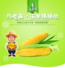 【臻选推荐】马老面鲜食玉米  9支装/箱    黄糯玉米 / 黑糯玉米 商品缩略图0
