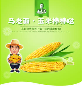 【臻选推荐】马老面鲜食玉米  9支装/箱    黄糯玉米 / 黑糯玉米