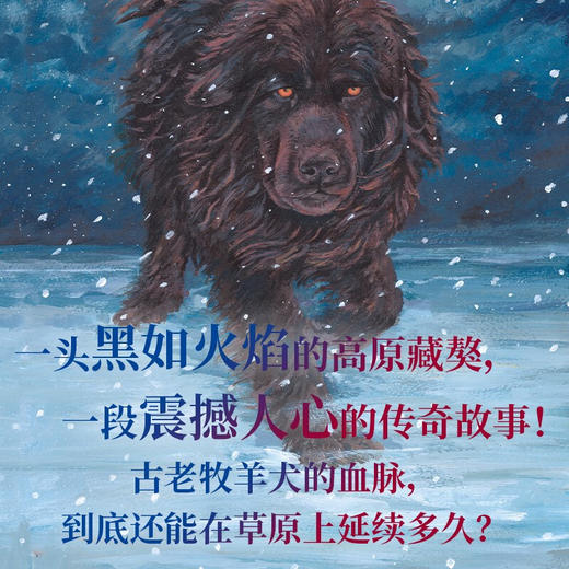 黑焰 插图版 格日勒其木格·黑鹤 著 儿童文学 商品图1