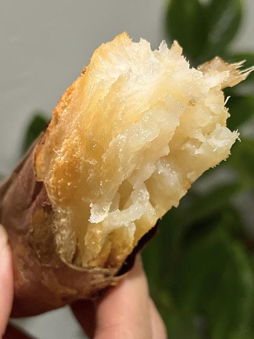 土是真的土  好吃是真的好吃  瓤白如玉  哈密冰糖薯  红薯  软糯香甜 带有淡淡的香味 让你吃到儿时的味道 商品图2