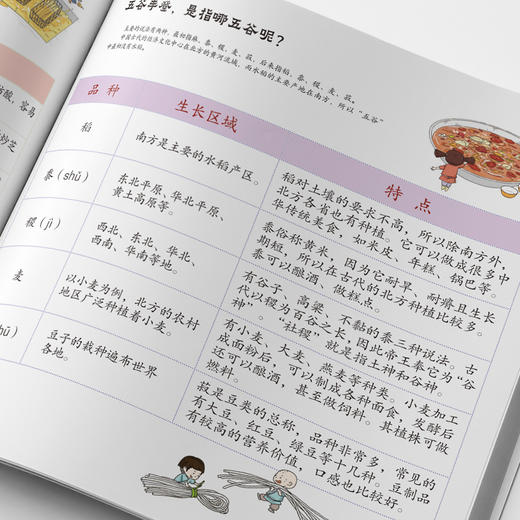 万物有秘密（全3册）6岁+3大主题360多道制作工序70多个知识点 商品图5