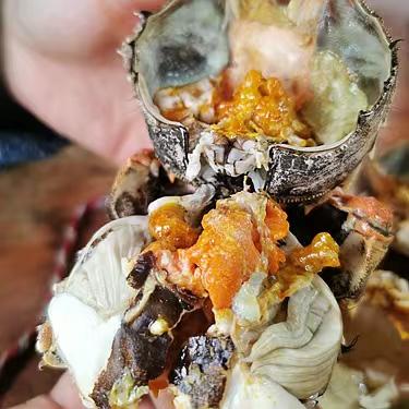 云南石屏稻田蟹 商品图2