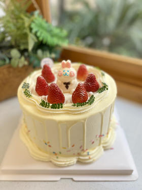 兔子奶油蛋糕 下单前请仔细阅读商品详情