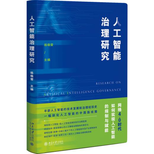 人工智能治理研究 杨晓雷 北京大学出版社 商品图0