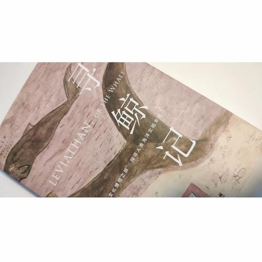 寻鲸记（自然文库） 商品图3