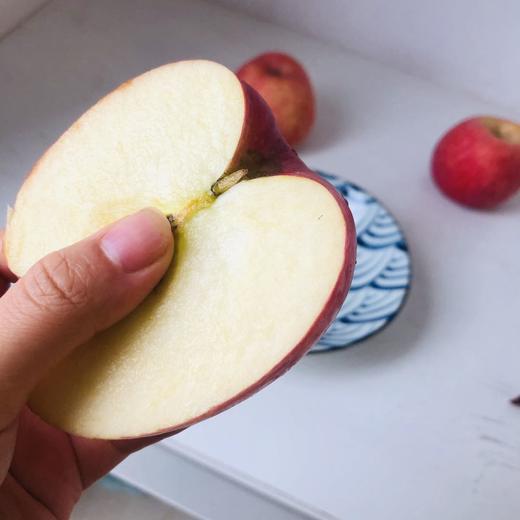 【 脆甜多汁】陕西洛川红富士苹果来自苹果之乡  果香浓郁  甜蜜多汁  果肉脆嫩  果皮洁净  色泽鲜艳 商品图5