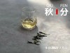 2022秋分茶有花香清甜，有竹香清嘉，又清郁，又鲜甜 商品缩略图2