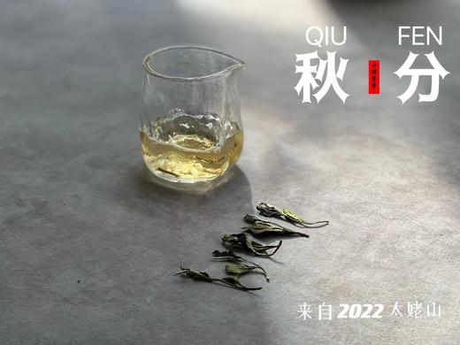 2022秋分茶有花香清甜，有竹香清嘉，又清郁，又鲜甜 商品图2